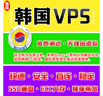 韩国VPS推荐8912M购买，搜索引擎优化分为哪两种